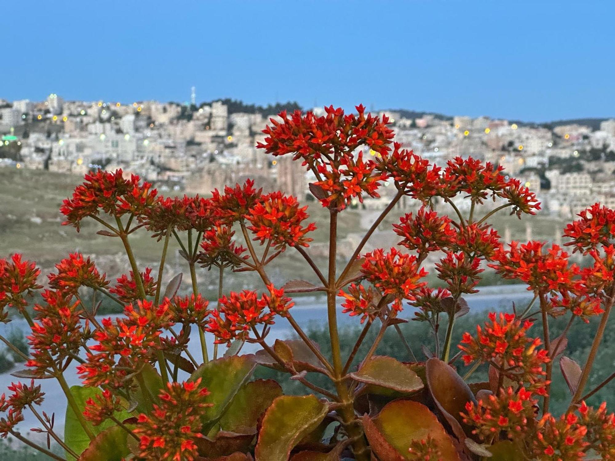 Jerash City View Jarash Eksteriør bilde