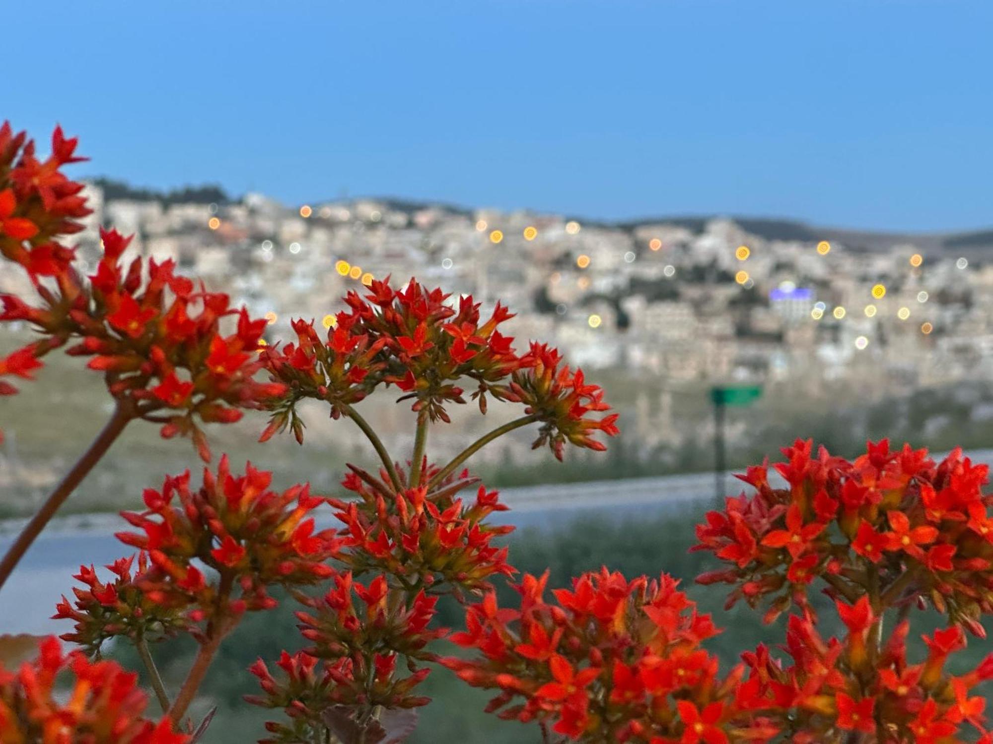 Jerash City View Jarash Eksteriør bilde